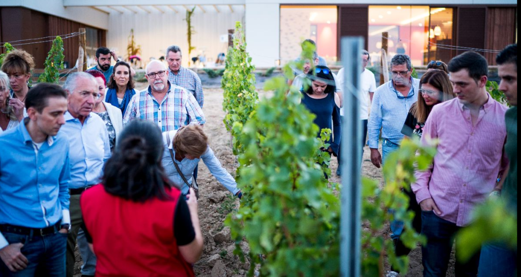 TURISMO_DEL_VINO_ESPECIALIZACION_ENOTURISMO_unidad 4_09